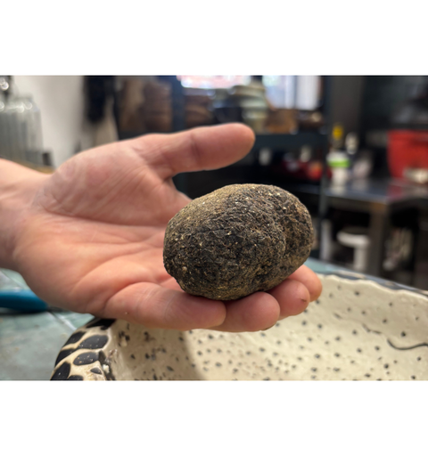 Por qué la trufa negra de Ribagorza es tan especial