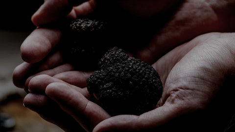 Comprar trufa negra online