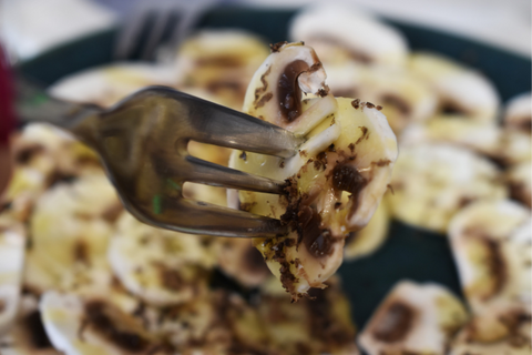 Carpaccio de champiñones con trufa de verano