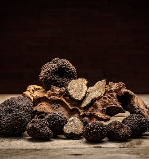 Guía para congelar trufa negra y conservar su aroma