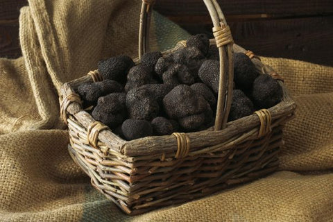 Donde comprar trufas negras