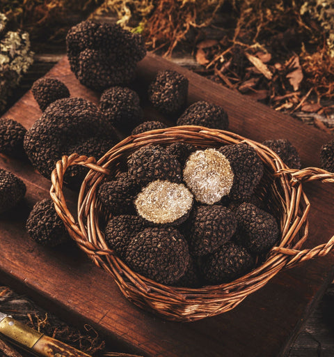 Trufa negra fresca de temporada - mejor momento para comprar