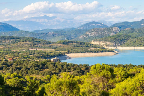 Cultivo de Trufa Negra en Aragón. Ecosistema, Carrascas y secretos del suelo calizo
