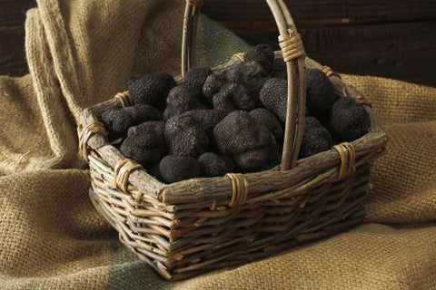 precio trufa negra de Aragón