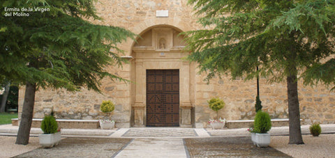 Trufa Negra en Aragón