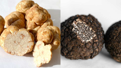 Trufa blanca y trufa negra
