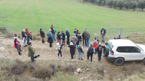 Trufiturismo en Aragón: la actividad perfecta para descubrir la trufa negra en su origen