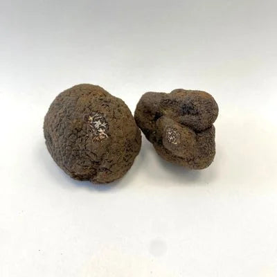 Interior veteado con venas blancas de una trufa negra fresca cortada, maduración al 90 por ciento