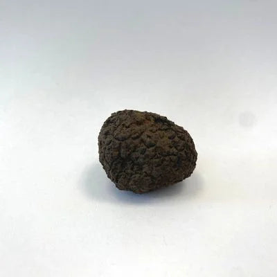 Láminas de trufa negra fresca Tuber Melanosporum sobre un plato finalizado