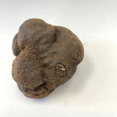 Variedad de trufas negras frescas de diferentes tamaños y formas naturales únicas