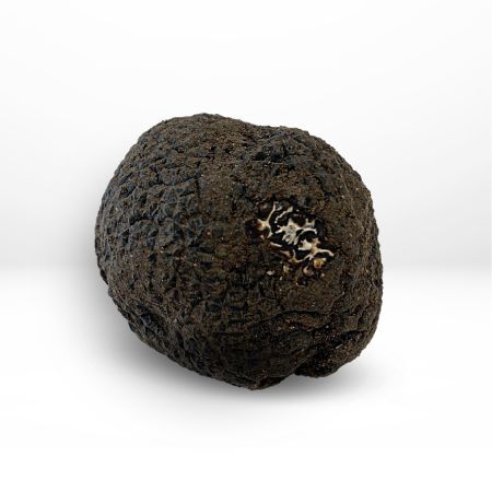Morceaux de truffe fraîche noire